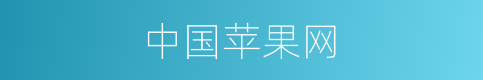 中国苹果网的同义词