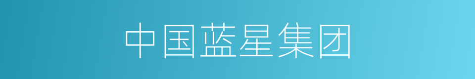 中国蓝星集团的同义词