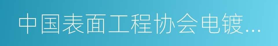 中国表面工程协会电镀分会的同义词