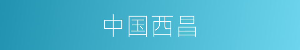 中国西昌的同义词