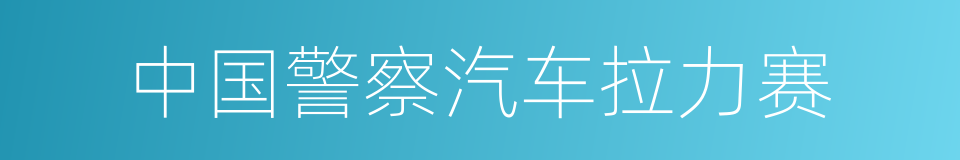 中国警察汽车拉力赛的同义词