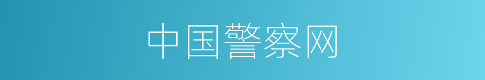 中国警察网的同义词