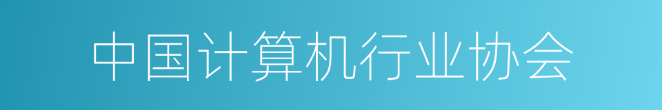 中国计算机行业协会的同义词