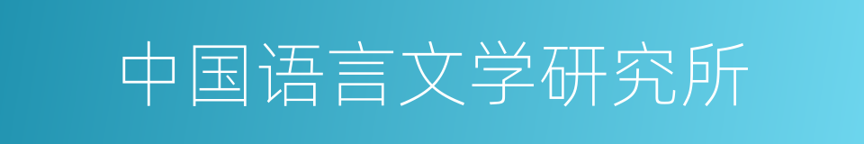 中国语言文学研究所的同义词