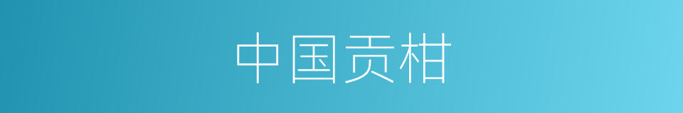 中国贡柑的同义词