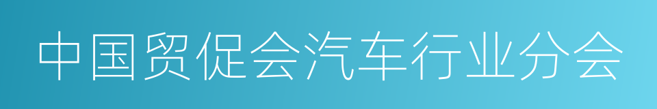 中国贸促会汽车行业分会的同义词