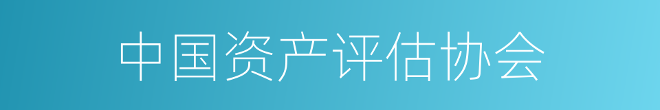 中国资产评估协会的同义词