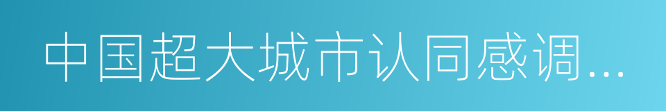 中国超大城市认同感调查报告的同义词