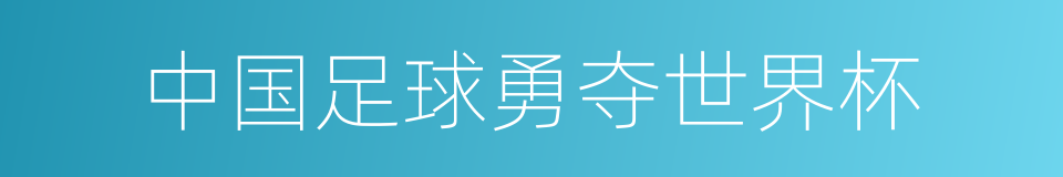 中国足球勇夺世界杯的同义词