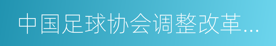 中国足球协会调整改革方案的同义词