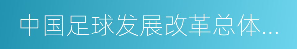 中国足球发展改革总体方案的同义词