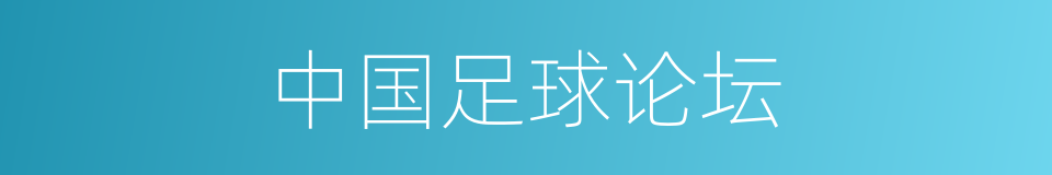 中国足球论坛的同义词