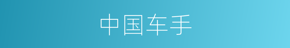 中国车手的同义词