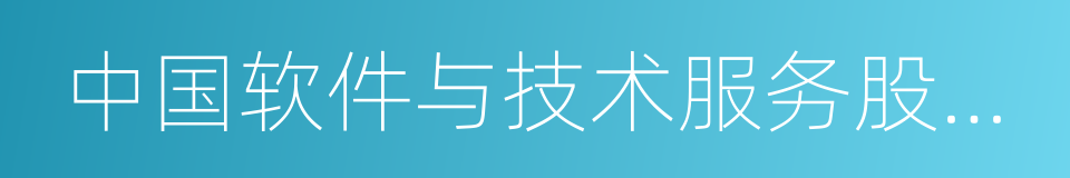 中国软件与技术服务股份有限公司的同义词