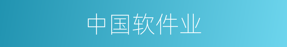 中国软件业的同义词