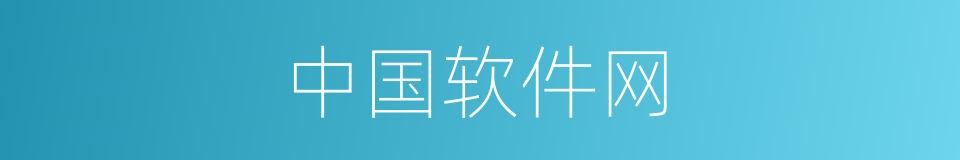 中国软件网的同义词
