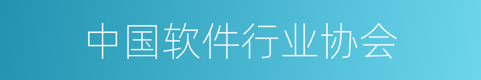 中国软件行业协会的同义词