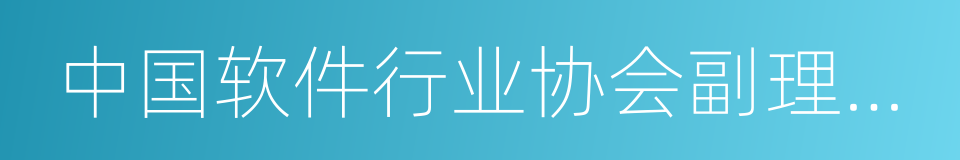 中国软件行业协会副理事长的同义词