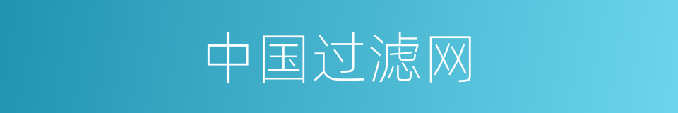 中国过滤网的同义词
