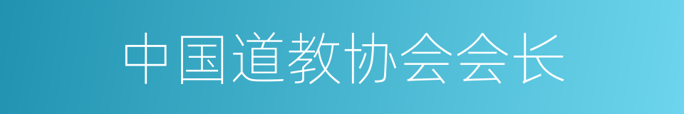 中国道教协会会长的同义词