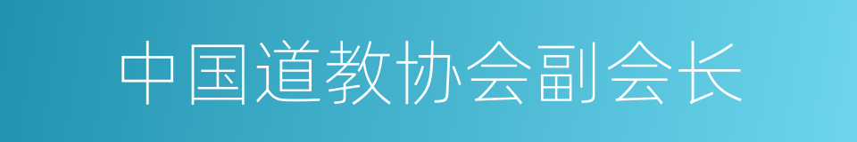 中国道教协会副会长的同义词