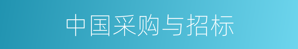 中国采购与招标的同义词