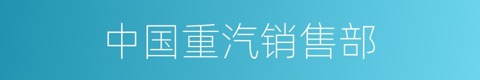 中国重汽销售部的同义词
