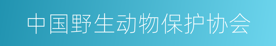 中国野生动物保护协会的同义词