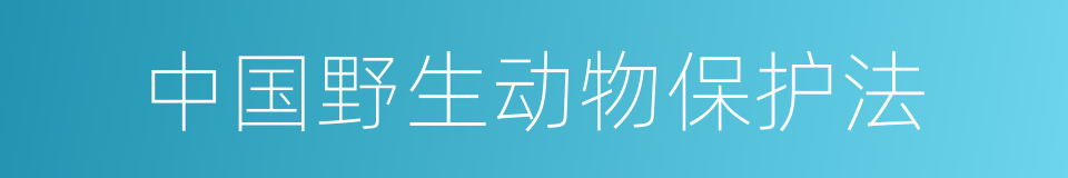 中国野生动物保护法的同义词