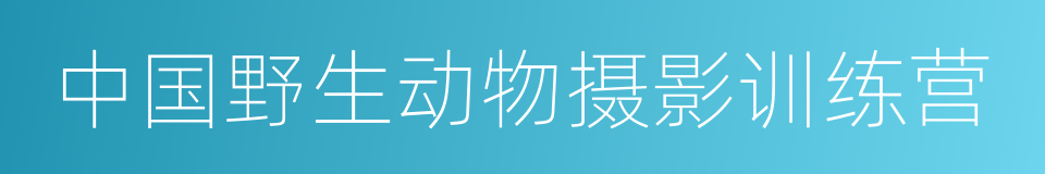 中国野生动物摄影训练营的同义词