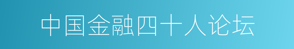 中国金融四十人论坛的同义词
