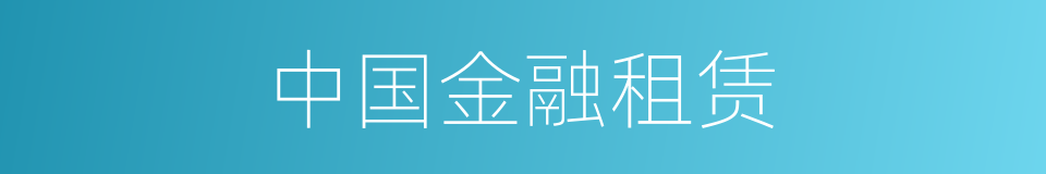 中国金融租赁的同义词