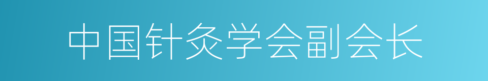 中国针灸学会副会长的同义词