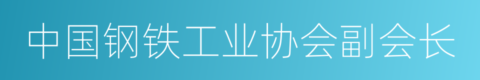 中国钢铁工业协会副会长的同义词