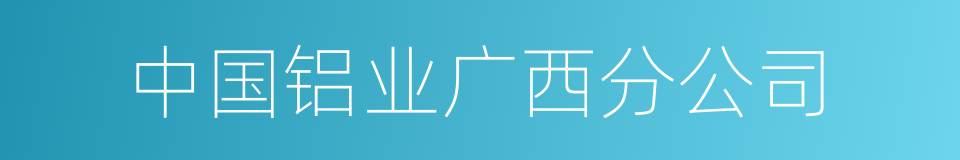 中国铝业广西分公司的同义词