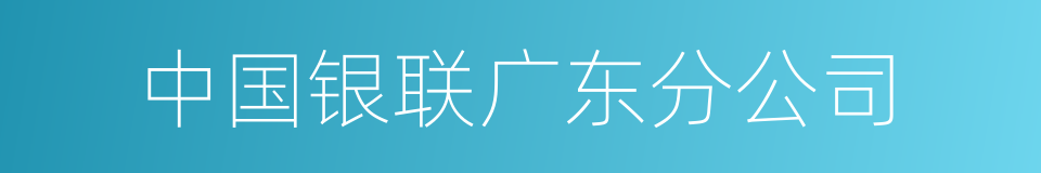 中国银联广东分公司的同义词