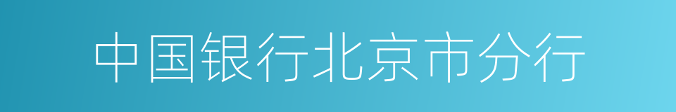 中国银行北京市分行的同义词