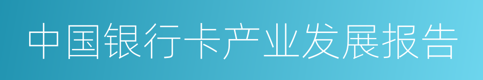 中国银行卡产业发展报告的同义词