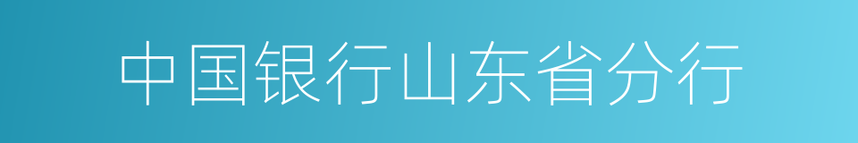 中国银行山东省分行的同义词