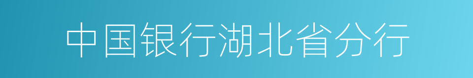 中国银行湖北省分行的同义词