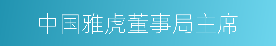 中国雅虎董事局主席的同义词