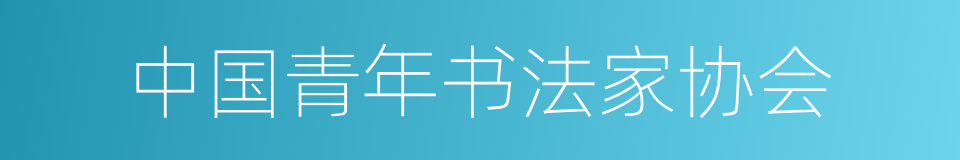 中国青年书法家协会的同义词