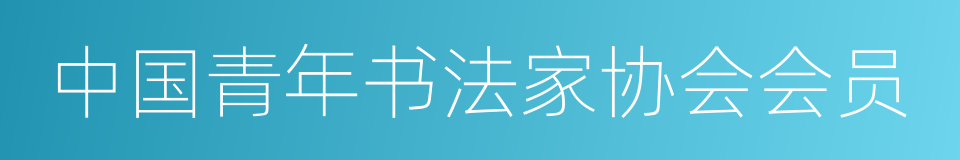 中国青年书法家协会会员的同义词