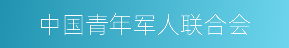 中国青年军人联合会的同义词