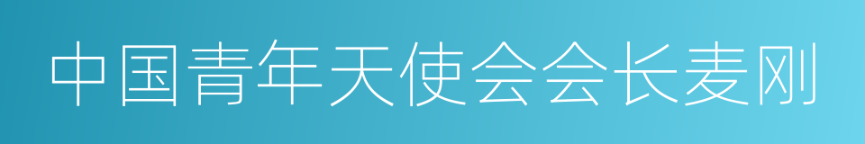 中国青年天使会会长麦刚的同义词