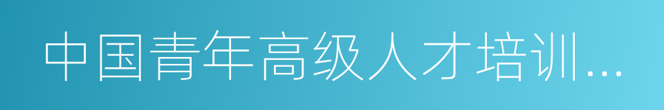 中国青年高级人才培训中心的同义词