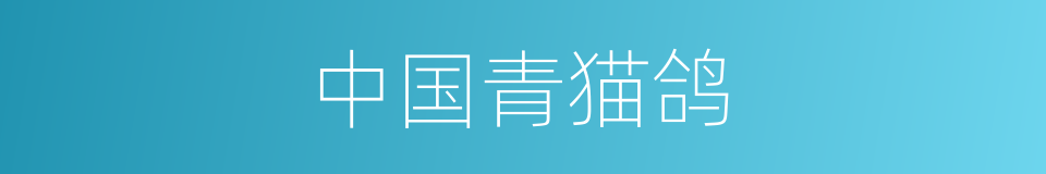 中国青猫鸽的同义词