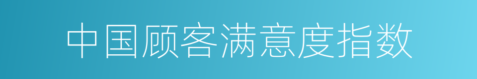 中国顾客满意度指数的同义词