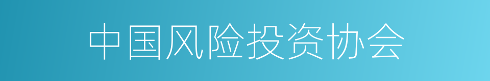 中国风险投资协会的同义词