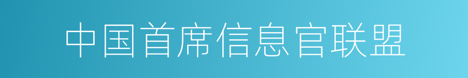 中国首席信息官联盟的同义词